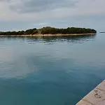 Captain's *
