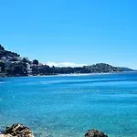 Captain's * Tribalj