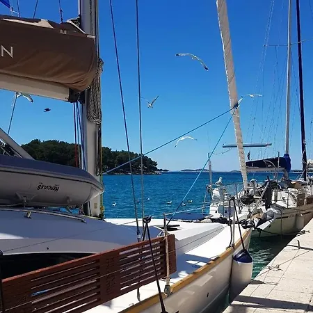 Captain's Appartement Tribalj