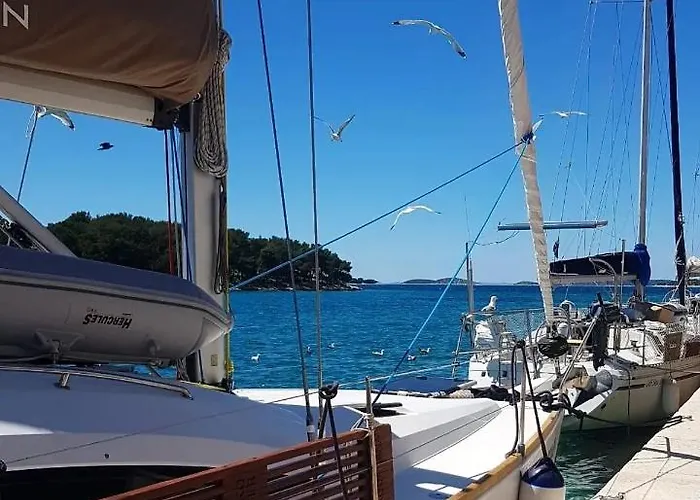 Captain's Appartement Tribalj